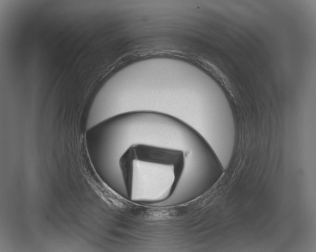 X0000083990405200702160736