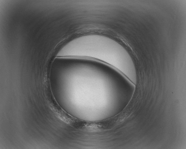 X0000083990407200702160736