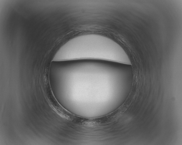 X0000083990408200702160736