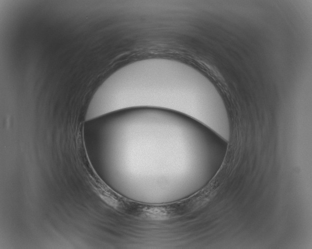 X0000083990409200702160736