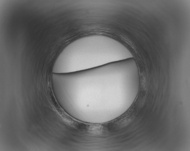 X0000083990410200702160736