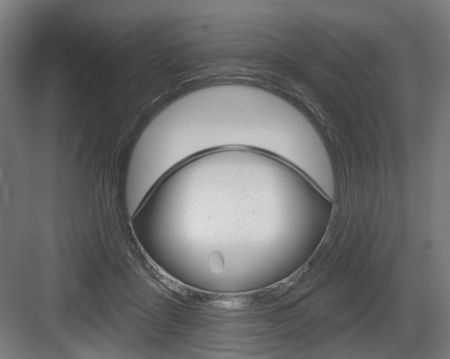 X0000083990411200702160736