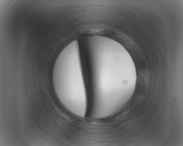 X0000083990412200702160736