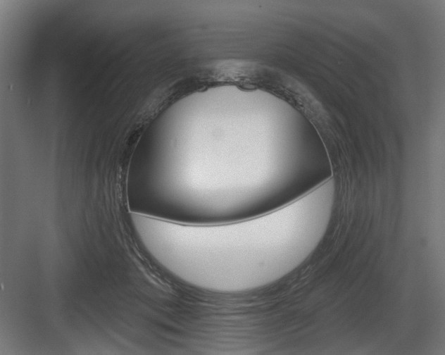 X0000083990413200702160736