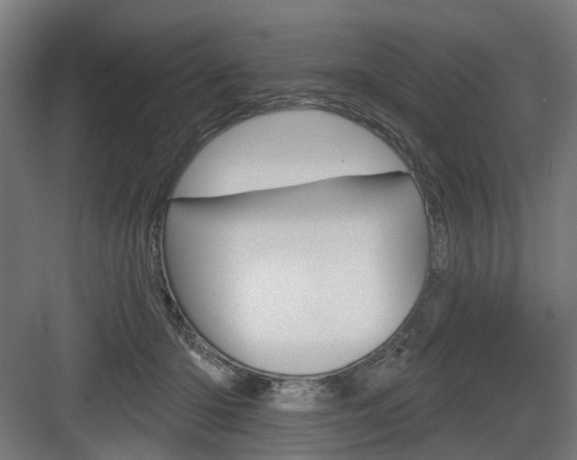 X0000083990414200702160736