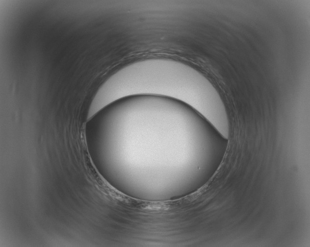 X0000083990415200702160736
