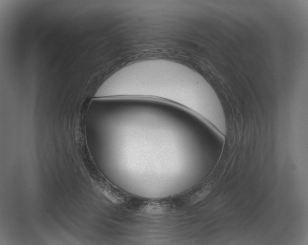 X0000083990416200702160736