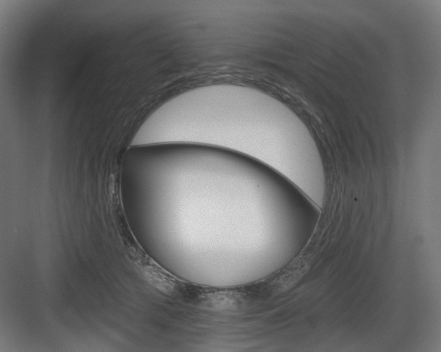 X0000083990417200702160736
