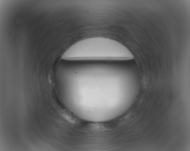 X0000083990424200702160735