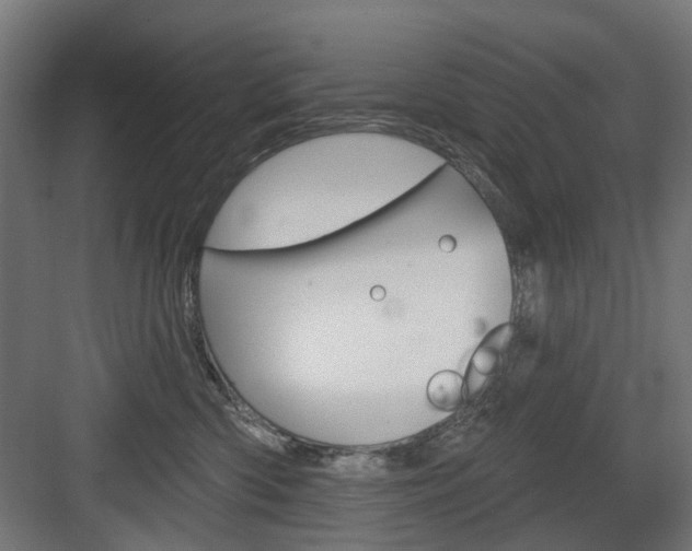 X0000083990426200702160735