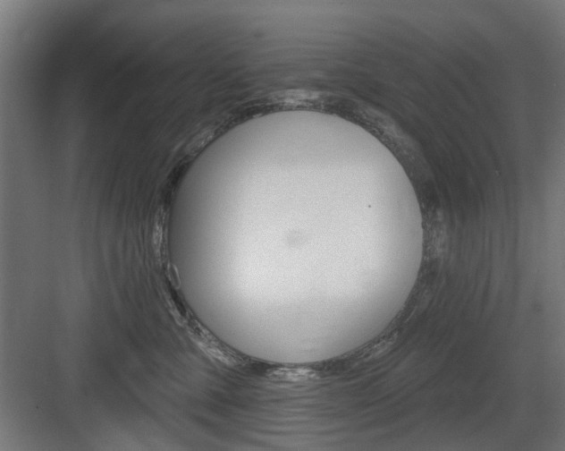 X0000083990427200702160735