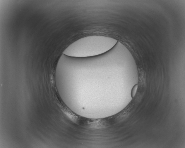 X0000083990430200702160735