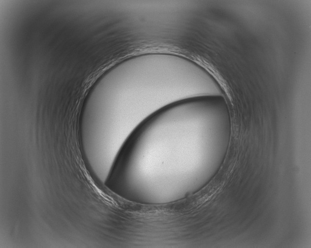 X0000083990433200702160734