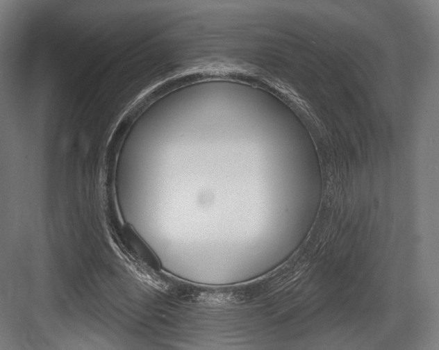 X0000083990440200702160735
