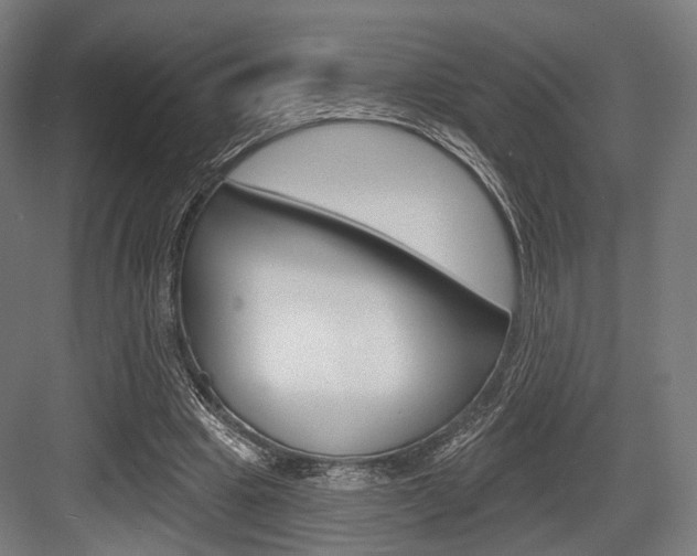 X0000083990441200702160735