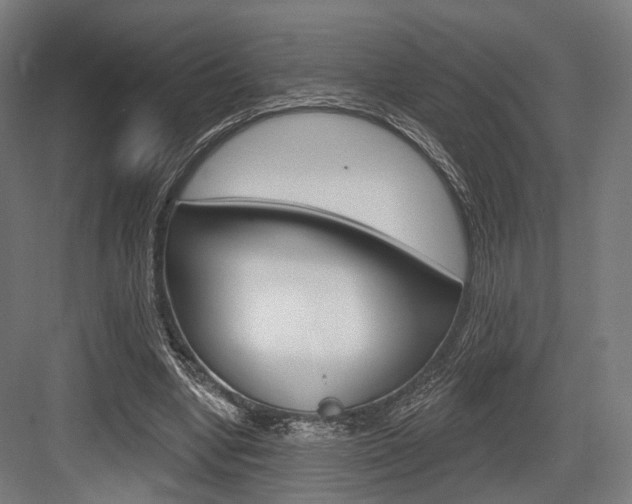 X0000083990442200702160735