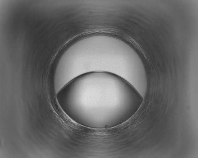 X0000083990444200702160735