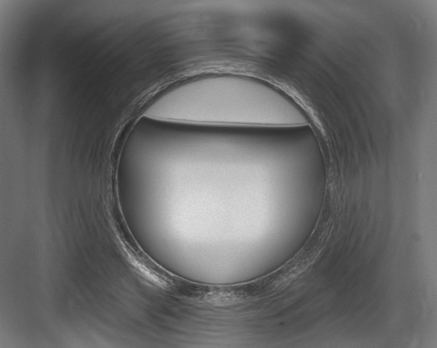 X0000083990445200702160735