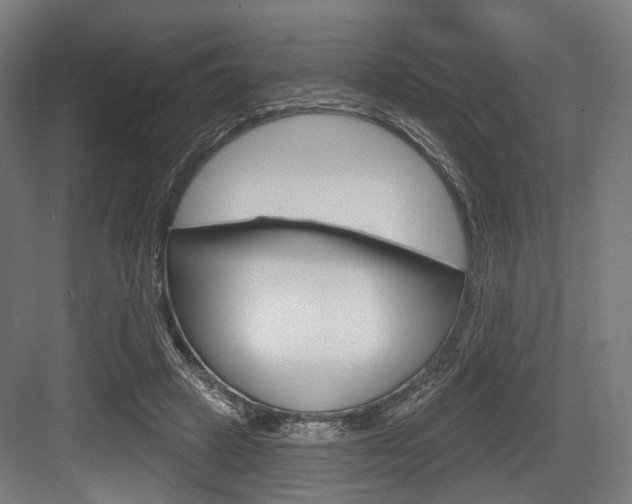 X0000083990449200702160735