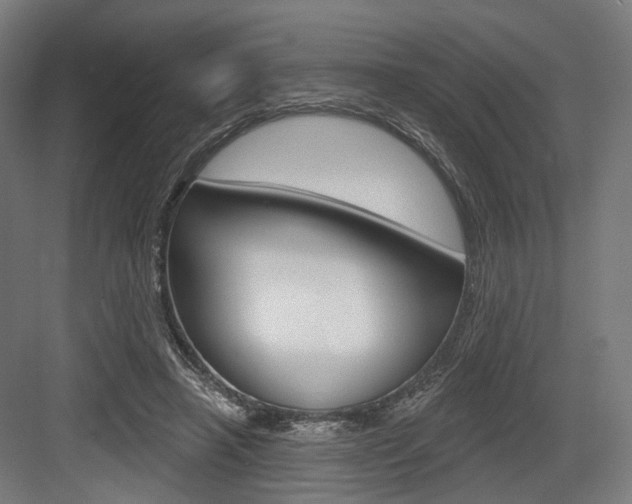 X0000083990450200702160735