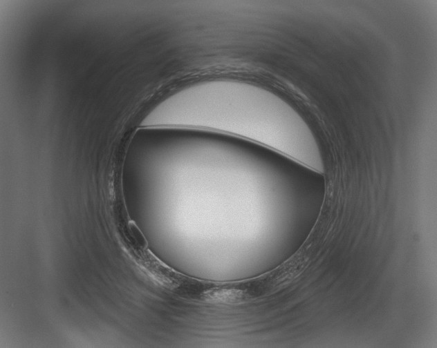 X0000083990452200702160735