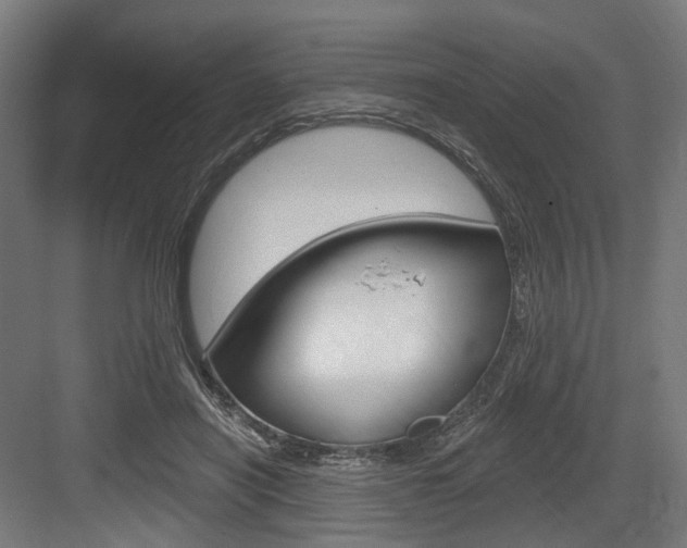 X0000083990454200702160735