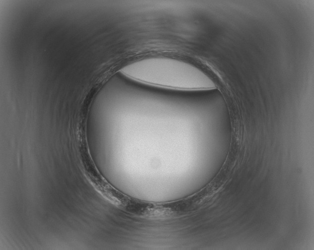 X0000083990455200702160735