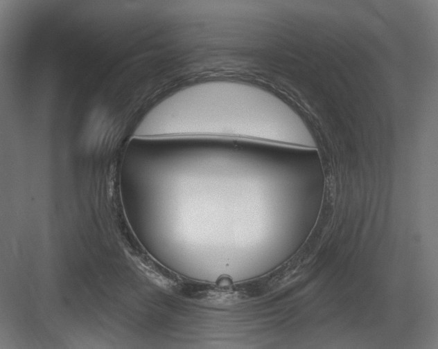 X0000083990458200702160735