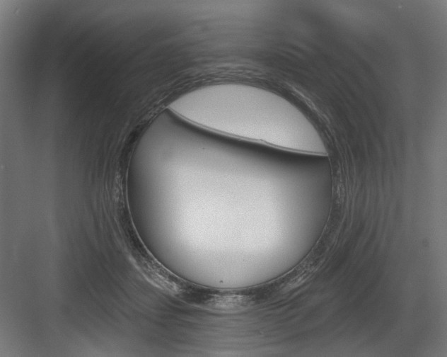 X0000083990459200702160735