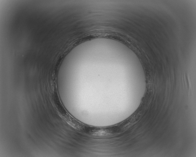 X0000083990460200702160735