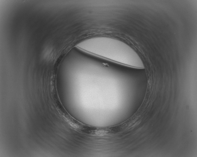 X0000083990462200702160735