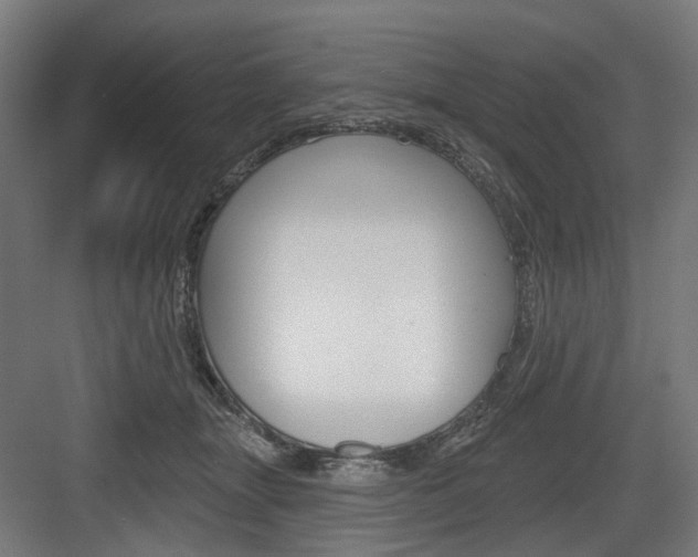 X0000083990463200702160735