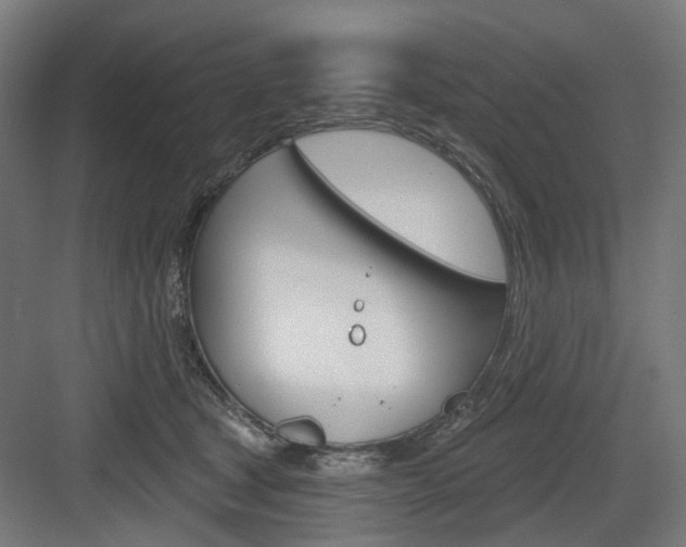 X0000083990465200702160735