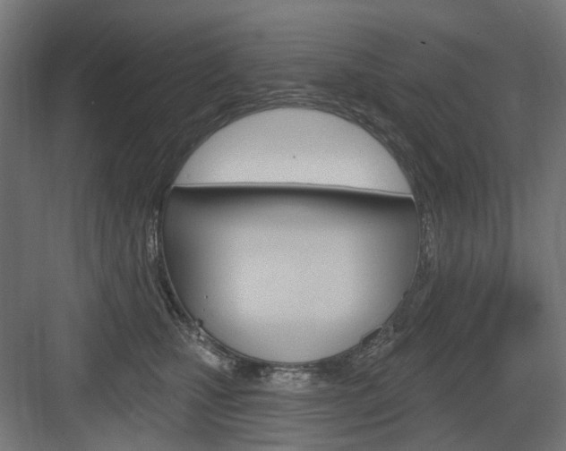 X0000083990471200702160735