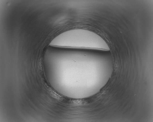 X0000083990473200702160735