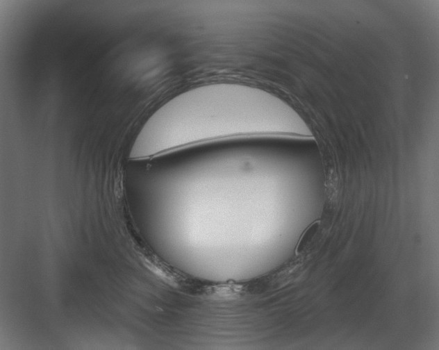 X0000083990474200702160735