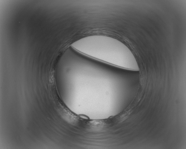 X0000083990477200702160735