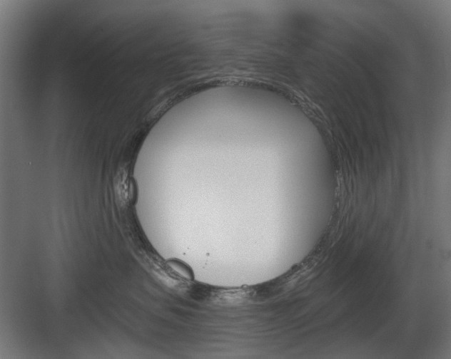 X0000083990479200702160735