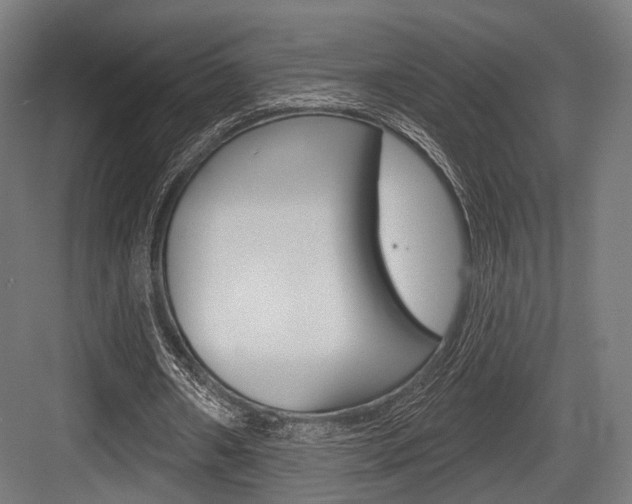 X0000083990482200702160734