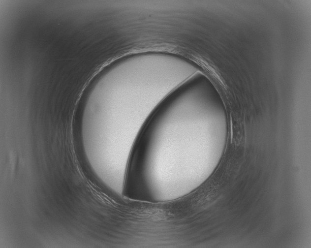 X0000083990483200702160734
