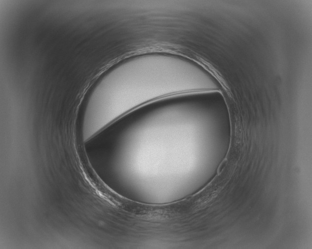 X0000083990485200702160734