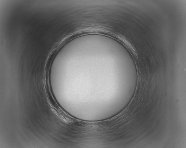 X0000083990486200702160734