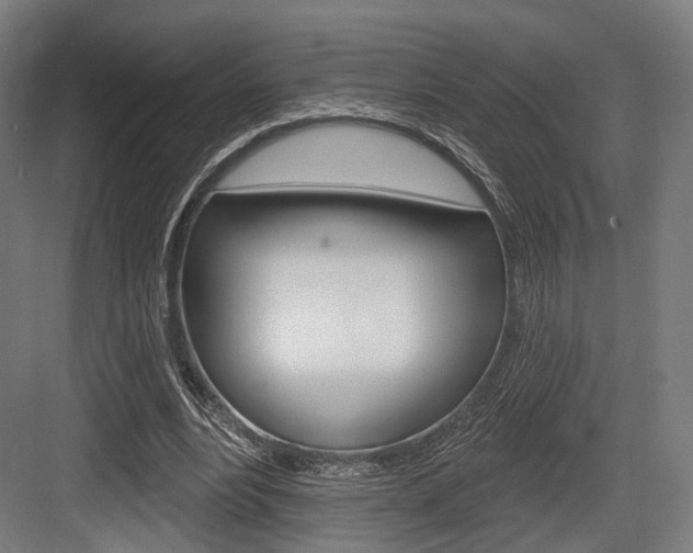 X0000083990488200702160734