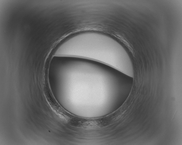 X0000083990492200702160734