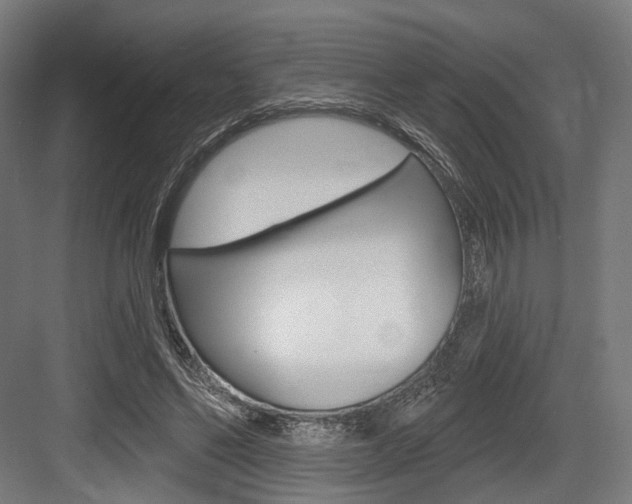 X0000083990494200702160734