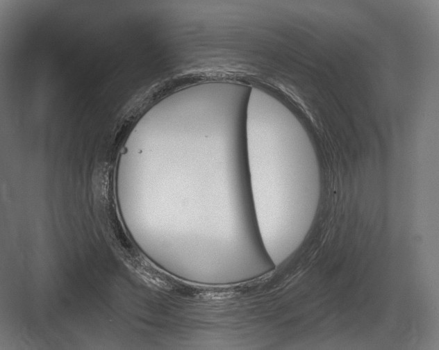 X0000083990495200702160734