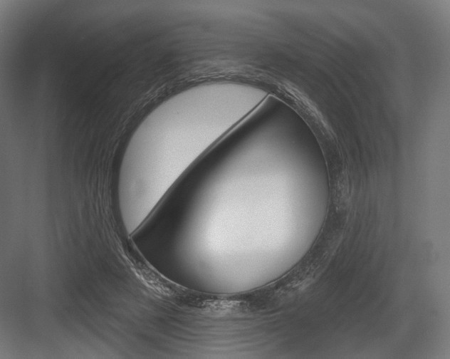 X0000083990497200702160734
