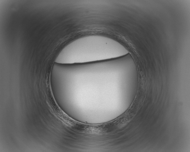 X0000083990498200702160734