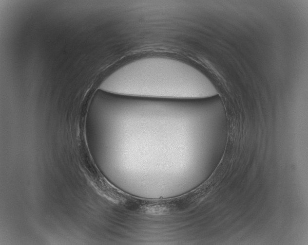 X0000083990500200702160734