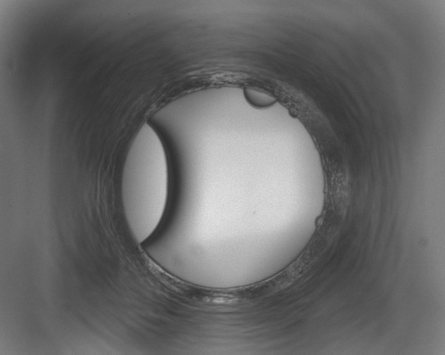 X0000083990506200702160734